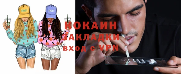 кокс Алексин