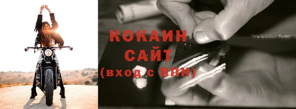 кокс Алексин