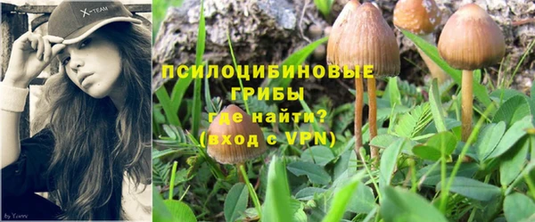 винт Алексеевка