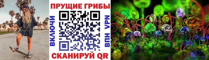 мега tor  Воткинск  Галлюциногенные грибы MAGIC MUSHROOMS 