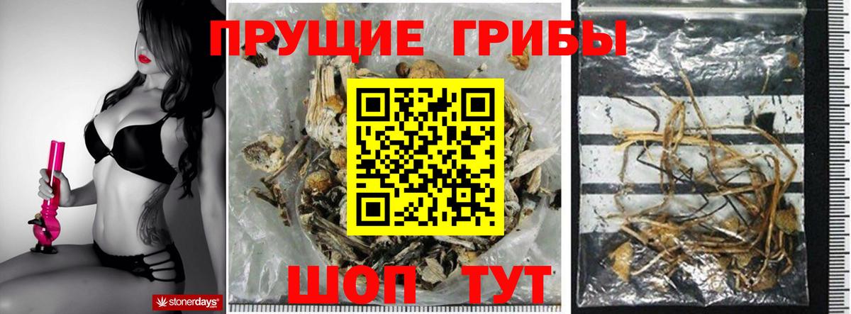 Галлюциногенные грибы прущие грибы  Вход с VPN  Воткинск 